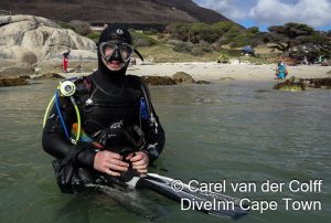 Dive Inn Cape Town Peak Season